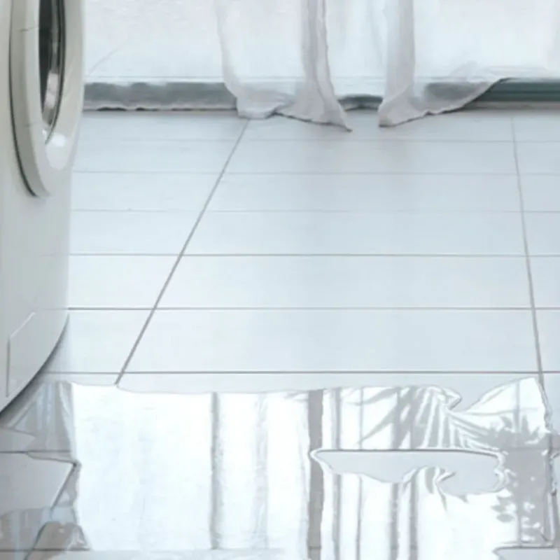 Appliance Leak Cleanup in Bowling Green, VA
