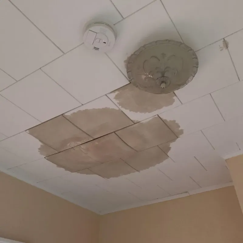 Ceiling Water Damage Repair in Bowling Green, VA