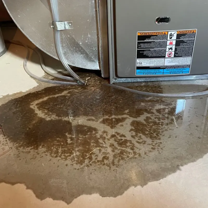 Pipe Burst and Leak Restoration in Bowling Green, VA